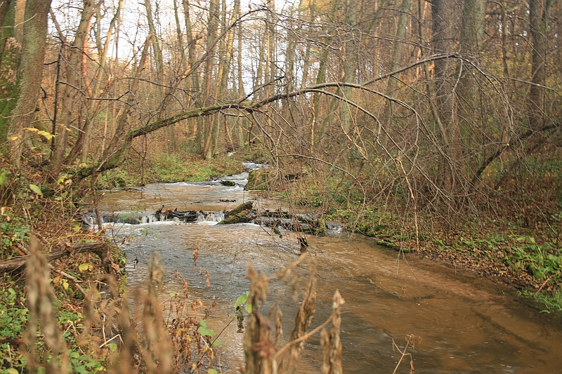 Rostoczek 11.2008 119